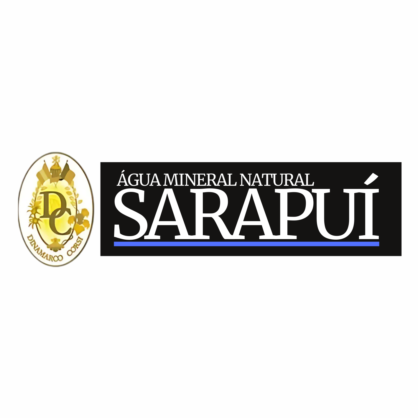 sarapui_logo.png